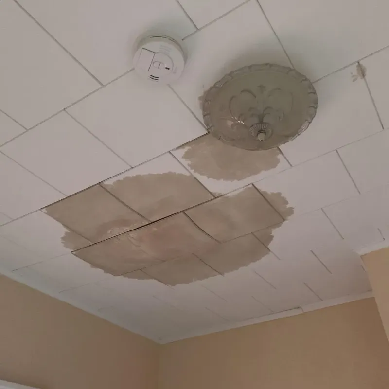 Ceiling Water Damage Repair in Pepin County, WI