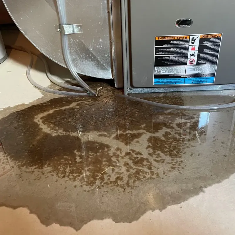 Pipe Burst and Leak Restoration in Pepin County, WI